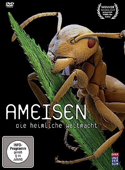 Ameisen - Die heimliche Weltmacht,1 DVD