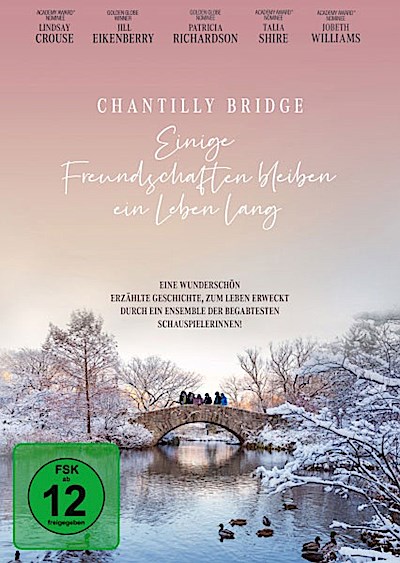 Chantilly Bridge - Einige Freundschaften... (DVD)  Min: 86/DD5.1/WS