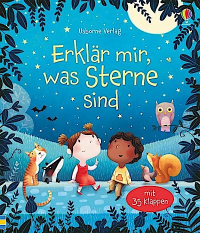 Erklär mir, was Sterne sind (mit 35 Klappen)