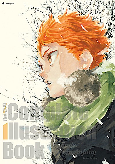 Haikyu!! Complete Illustration Book – Ein Ende...