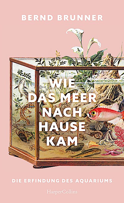 Wie das Meer nach Hause kam. Die Erfindung des...
