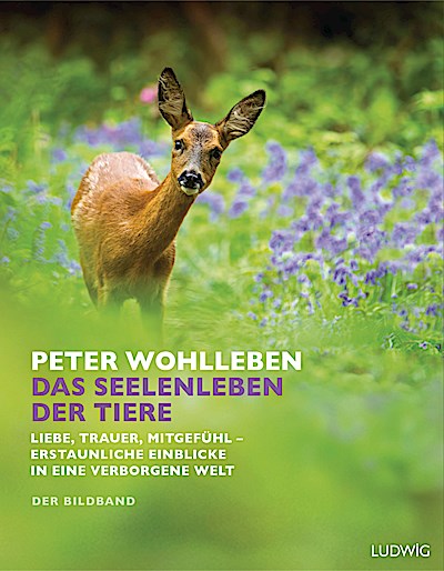 Das Seelenleben der Tiere