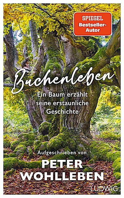 Buchenleben