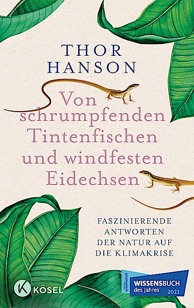 Von schrumpfenden Tintenfischen und windfesten...