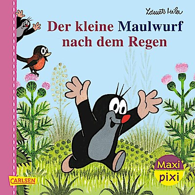 Maxi Pixi 200: VE 5 Der Maulwurf nach dem Regen (5 Exemplare)