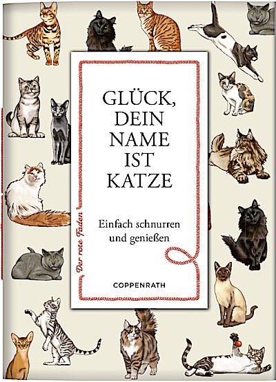 Glück, dein Name ist Katze