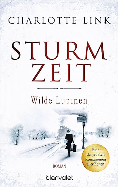 Sturmzeit - Wilde Lupinen