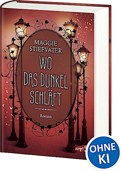 Wo das Dunkel schläft (Band 4)