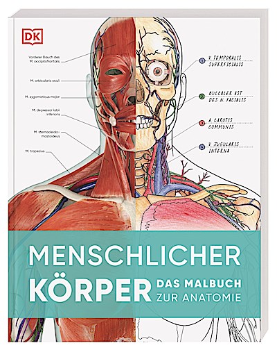 Menschlicher Körper